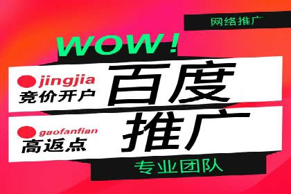 SEM代运营经典案例解析与启示